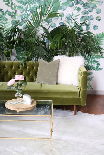 Fern and Eucalyptus