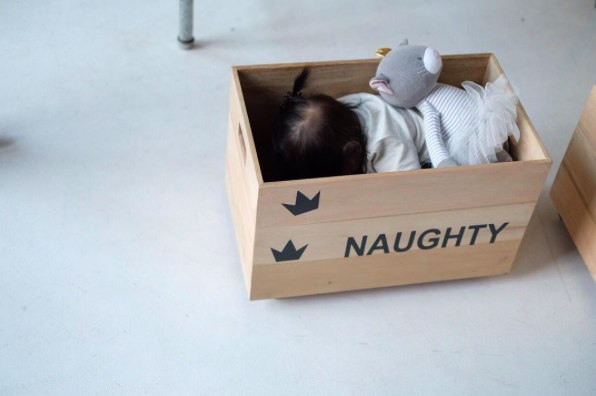 Made to Order Wheeled Wooden Toy Crates