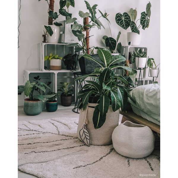 Lorena Canals Monstera Leaf in Natural Washable Rug